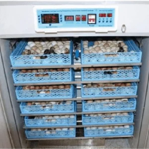 1056 EGGS PREMIER INCUBATOR