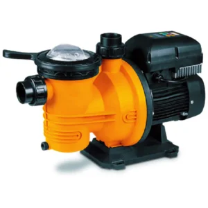 Dayliff DPL750 0.75kW Pool Pump