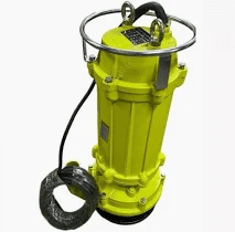 100m 10hp Sewage Mining Water Pump Premier 7.5kw 2inches QX15-100/2-7.5 15m3 /hr Electric Submersible